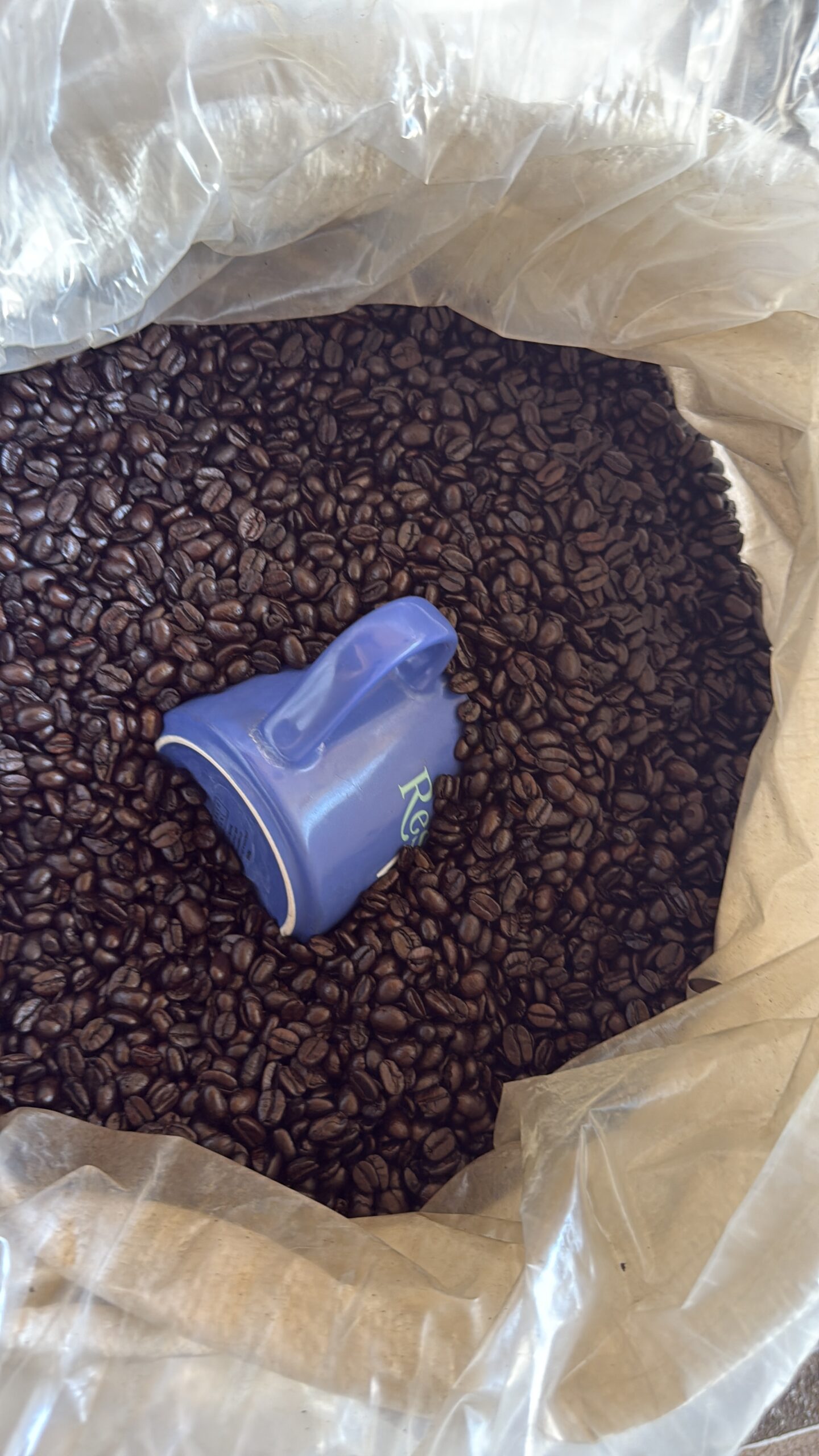 A3332E32 E60F 4116 A589 ECBB623C9902 3 Scaled